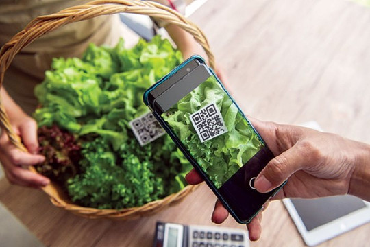 Ứng dụng công nghệ trong hỗ trợ kết nối, tiêu thụ nông sản Việt