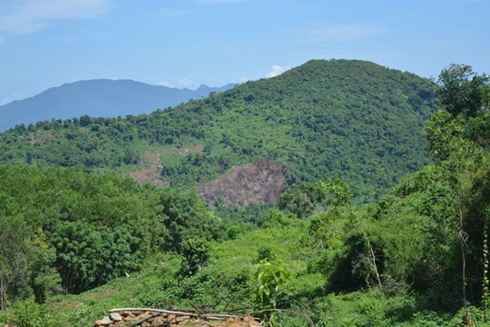 Quảng Nam xin giảm diện tích rừng phòng hộ xuống còn 2.000 ha
