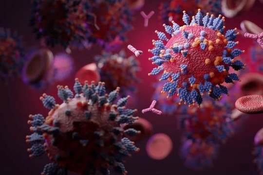 SARS-CoV-2 có thể trở thành coronavirus gây cảm lạnh và nỗi lo xuất hiện biến thể mới