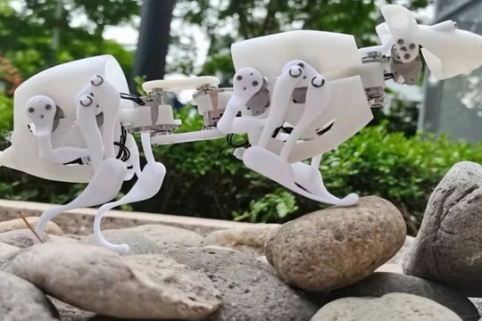 Phát triển chuột robot tìm người gặp nạn trong các thảm họa