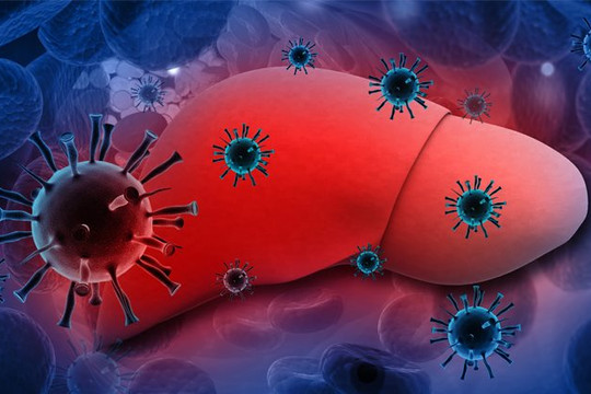 WHO: Ít nhất 1 trẻ em viêm gan nặng đã chết, 19 ca đồng nhiễm SARS-CoV-2 và adenovirus
