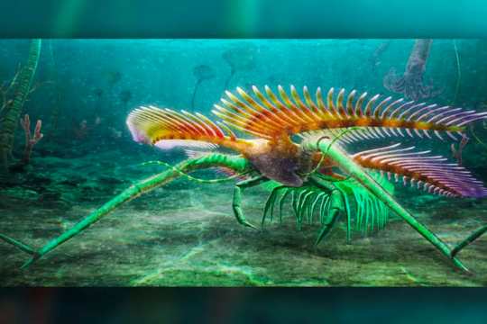 Phát hiện hóa thạch 450 triệu năm tuổi của sinh vật biển kỳ dị
