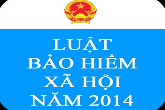 Việt Nam lấy ý kiến các chuyên gia quốc tế để sửa đổi, bổ sung Luật BHXH