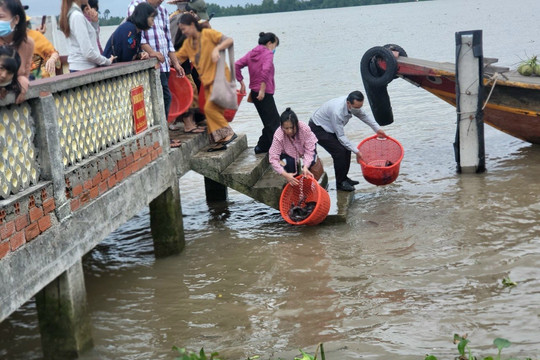 Tiền Giang: Phóng sinh nhiều tấn cá xuống sông