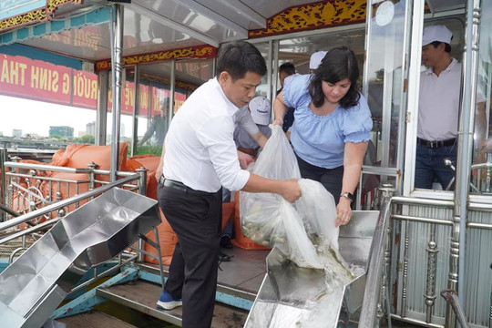 Thả hơn 32.000 con cá xuống sông Hương