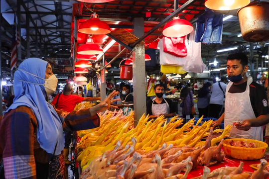 Chủ nghĩa bảo hộ lương thực ảnh hưởng đến châu Á như thế nào? 
