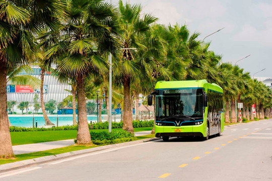 Phát triển giao thông xanh, TP.HCM dùng xe buýt điện cho BRT số 1