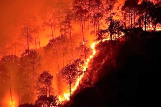 Ngày 12.6: Bắc Bộ nắng nóng, cẩn trọng nguy cơ cháy rừng ở Trung Bộ