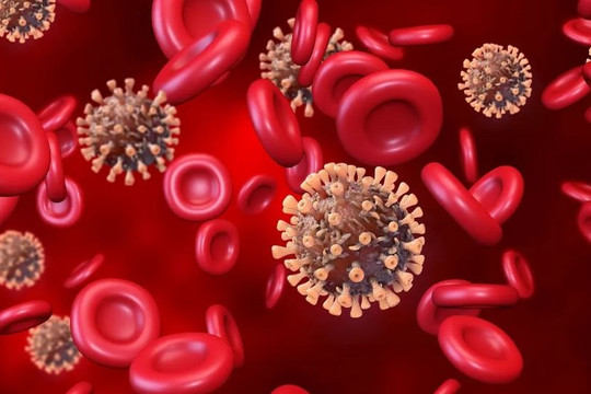 Nhiều người bị di chứng hậu COVID-19 còn vi rút trong máu sau 1 năm