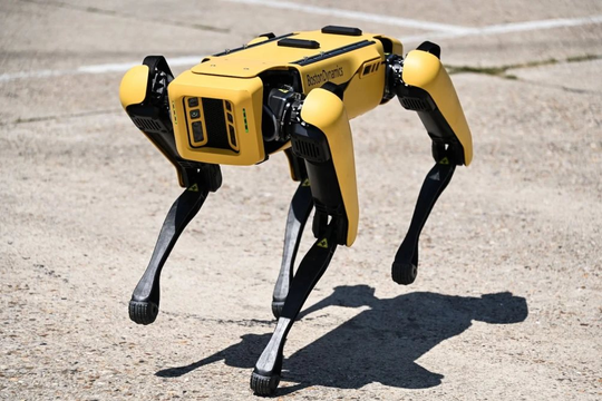 Quân đội Mỹ gửi chó robot tham gia hỗ trợ chiến sự tại Ukraine