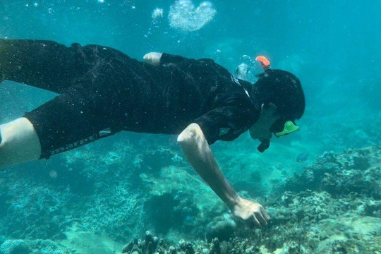 Từ 27.6, Nha Trang dừng hoạt động lặn biển ngắm san hô 