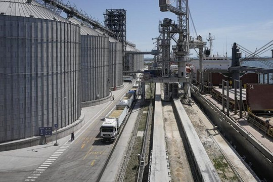 Cảng Romania không xử lý nổi lượng lớn ngũ cốc Ukraine