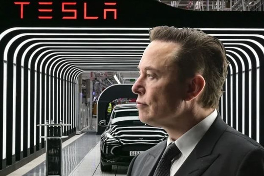 Tesla sa thải nhiều nhân viên và cả giám đốc mới làm, hủy lời mời nhận việc theo lệnh Elon Musk