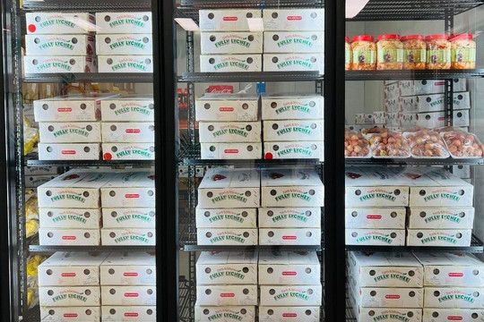 Gần 600.000 đồng một kg vải thiều trên kệ siêu thị của Úc