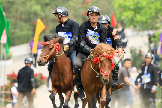 Sa Pa sẽ diễn ra mùa giải "Vó ngựa trên mây" từ ngày 15.7 đến 14.8