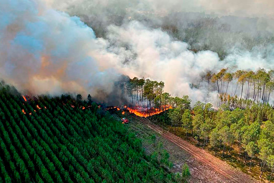 Khói từ những đám cháy rừng gây hại cho sức khoẻ như thế nào? 