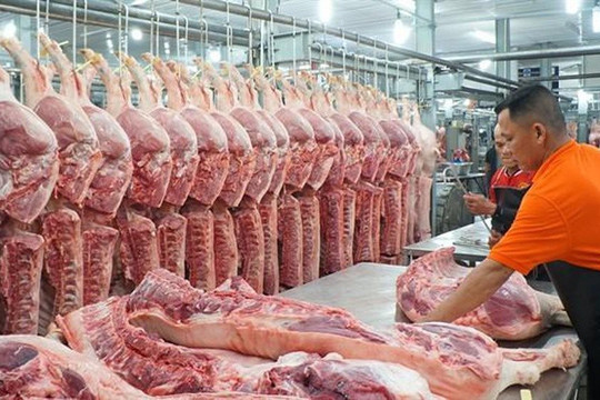 Phó thủ tướng yêu cầu thực hiện ngay việc bình ổn giá thịt lợn