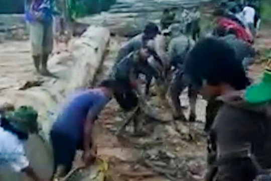 Video: Săn lùng cá sấu khổng lồ dài 8 mét ăn thịt ngư dân