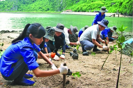 Chính phủ phê duyệt “Chiến lược quốc gia về biến đổi khí hậu giai đoạn đến năm 2050”