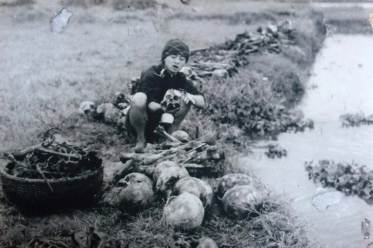 Sự thật lịch sử về nạn đói năm 1945 ở Việt Nam
