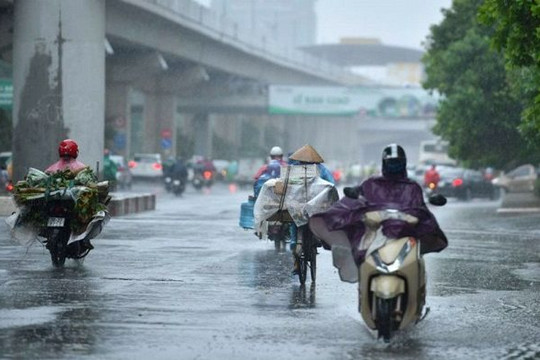 Ngày 8.8: Hà Nội mưa rào, gió giật mạnh
