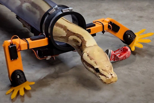 YouTuber gây sốc khi thiết kế chân robot cho… trăn