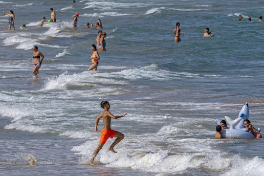 Nhiệt độ nước biển Địa Trung Hải tăng lên đe dọa các loài sinh vật biển