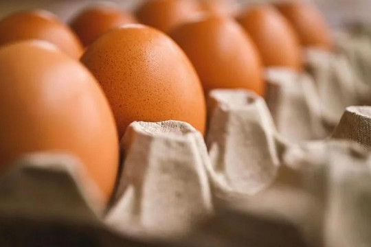 Nắng nóng làm tăng giá trứng tại Trung Quốc