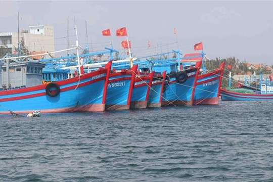 Bà Rịa - Vũng Tàu điều tra, xử lý vụ 4 tàu cá và 30 ngư dân Việt Nam bị Indonesia bắt giữ
