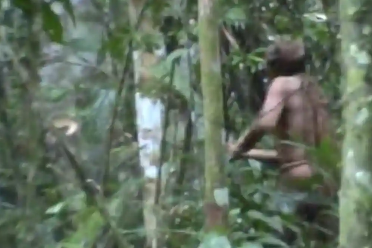 Người cuối cùng của bộ tộc vô danh trong rừng Amazon qua đời 