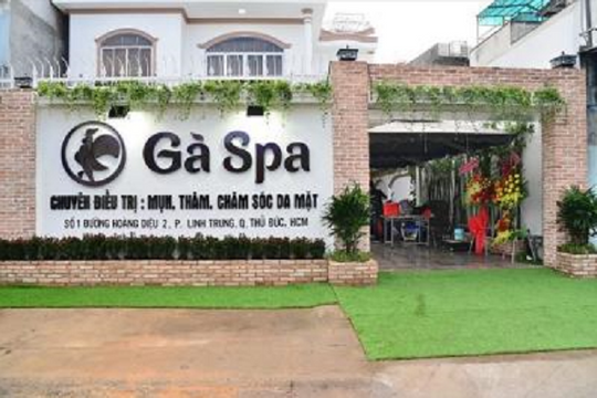 TP.HCM: Xử phạt Công ty Gà Spa hoạt động khám chữa bệnh chui