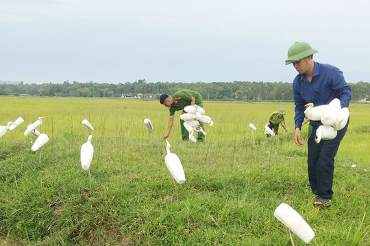 Hà Tĩnh: Tích cực ngăn chặn tệ nạn đánh bắt chim trời