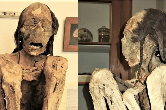 Công nghệ 3D kiểm tra xác ướp hé lộ nguyên nhân cái chết của người cổ đại