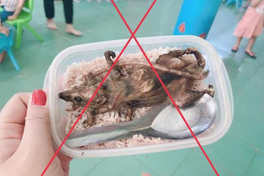 Quảng Nam bác bỏ tin đồn thịt chuột trong bữa ăn học sinh vùng cao
