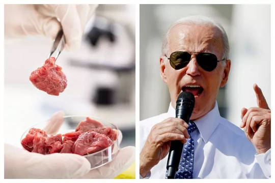 Tổng thống Mỹ Biden ủng hộ phát triển thịt nuôi trong phòng thí nghiệm