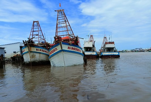 Tàu cá ở Cà Mau 'khát' nhiên liệu phải nằm bờ, ngư dân 'khó chồng khó'