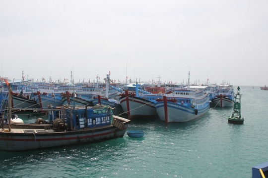 Bình Thuận đề nghị Bộ Công Thương chỉ đạo sau khi đảo Phú Quý hết sạch xăng 
