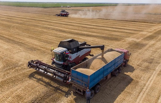 Lúa mì Nga được mùa nhưng khó xuất khẩu