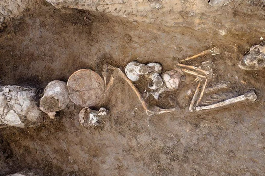 Người cổ đại chôn cất người chết cùng thuốc phiện