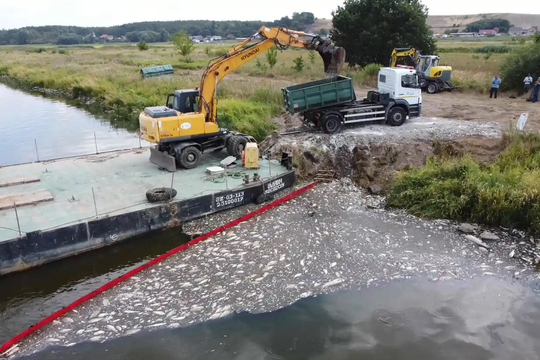 Căng thẳng giữa Đức và Ba Lan về tình trạng cá chết hàng loạt trên sông Oder