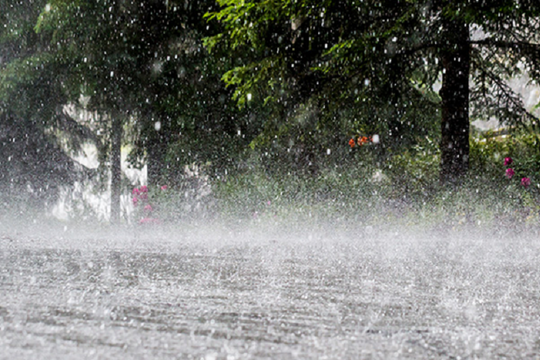 Hà Tĩnh đến Quảng Ngãi xuất hiện mưa lớn