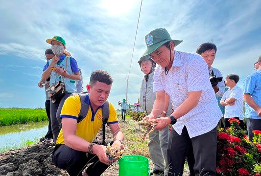 Mô hình lúa – tôm sú đạt chứng nhận ASC đầu tiên của Việt Nam