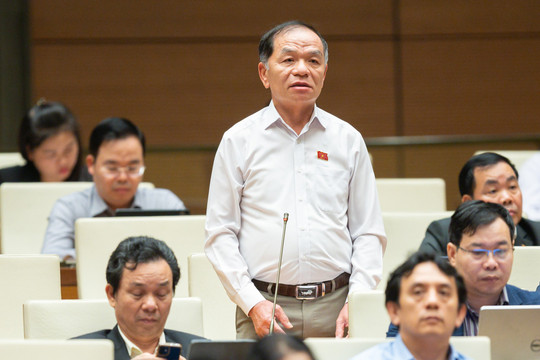 ĐBQH Lê Thanh Vân đề nghị tổng rà soát bằng tiến sĩ của cán bộ trung cấp, cao cấp