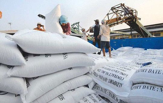 Chất lượng đi lên, giá gạo Việt Nam xuất khẩu cao nhất thế giới
