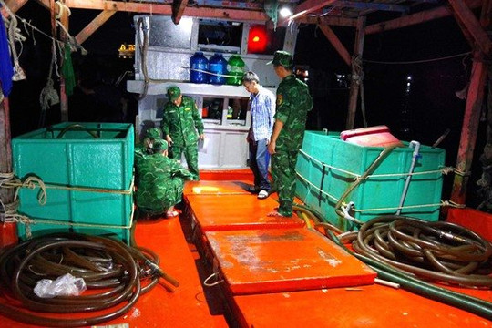 Cà Mau: Bắt giữ tàu cá chở khoảng 15.000 lít dầu không rõ nguồn gốc
