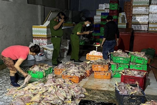 Phát hiện hơn 2,2 tấn gà chết chuẩn bị đem ra thị trường tiêu thụ