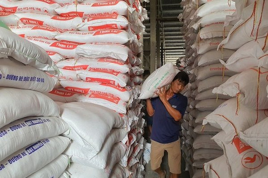 Việt Nam nhập gần 1 triệu tấn gạo, Bộ Công Thương đề nghị sửa luật