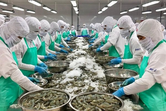 Lần đầu tiên xuất khẩu thủy sản Việt Nam vượt mốc 10 tỉ USD
