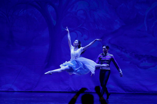 Vở ballet ‘Kẹp hạt dẻ’ nổi tiếng tái ngộ khán giả Sài Gòn