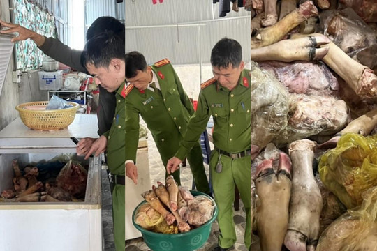 Hà Tĩnh: Phát hiện gần nửa tấn thịt hôi thối chờ bán ra thị trường